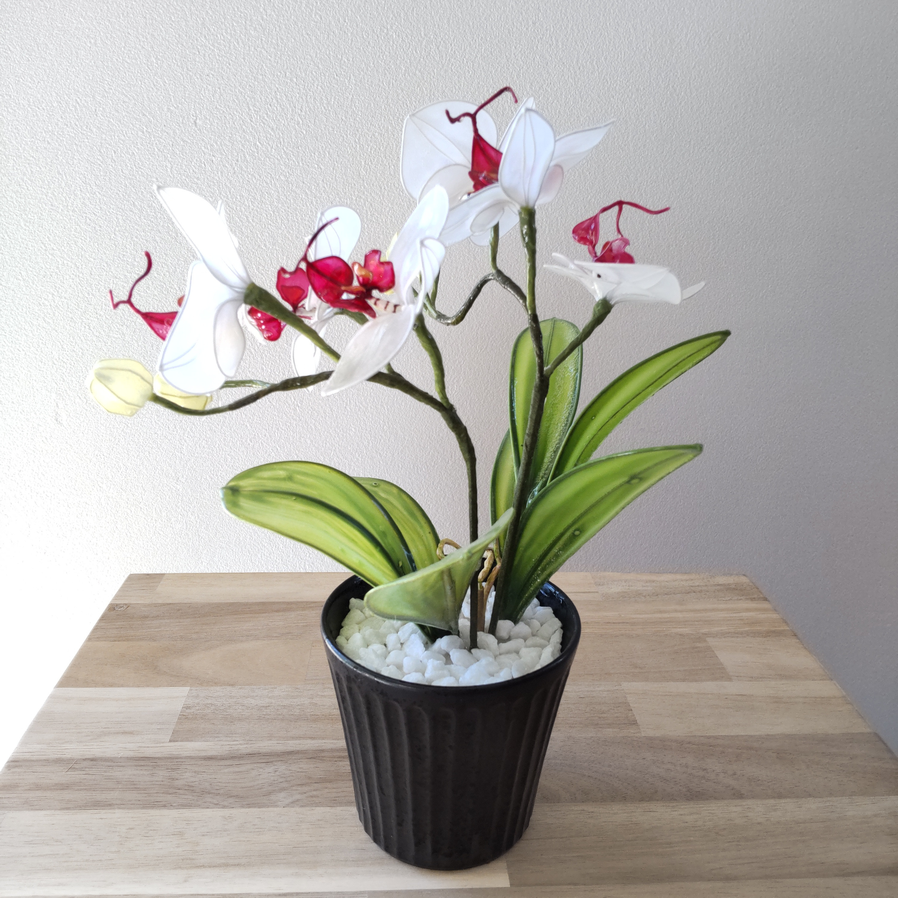 胡蝶蘭♡ホワイト♡鉢植え♡アメリカンフラワー♡ディップアート