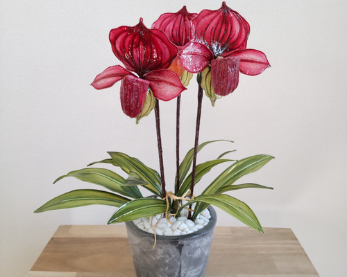 パフィオ♡鉢植え♡レッド♡アメリカンフラワー♡ディップアート