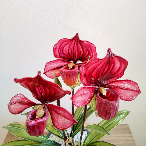 パフィオ♡鉢植え♡レッド♡アメリカンフラワー♡ディップアート