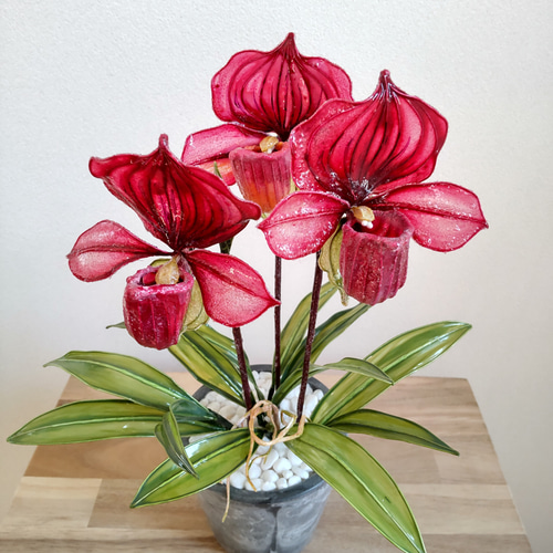 パフィオ♡鉢植え♡レッド♡アメリカンフラワー♡ディップアート