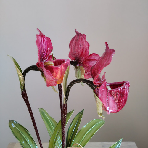 パフィオ♡鉢植え♡レッド♡アメリカンフラワー♡ディップアート