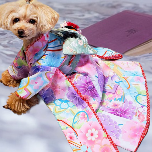 犬服/猫服 晴れ着 彩り花結び 振袖スタイル お引きづり/通常着丈
