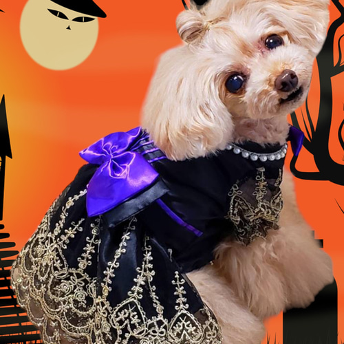 犬服　フリフリハロウィンワンピース　見本 犬 服 犬服 犬の服 秋 ハロウィン ワンピース フリフリ マウス柄