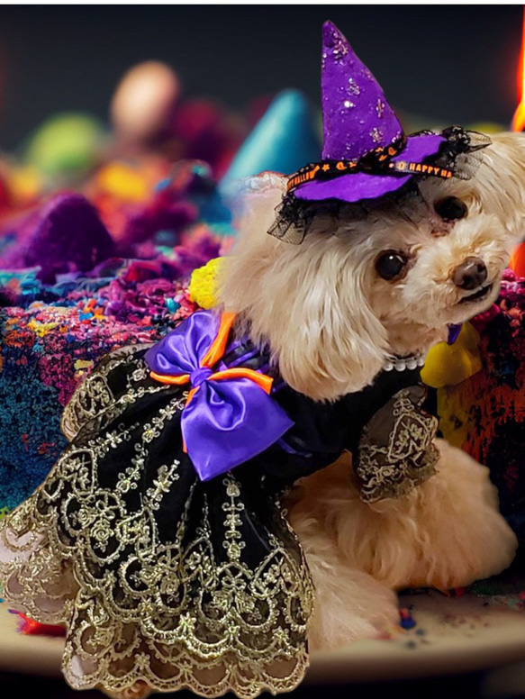 犬服　フリフリハロウィンワンピース　見本 犬 服 犬服 犬の服 秋 ハロウィン ワンピース フリフリ マウス柄