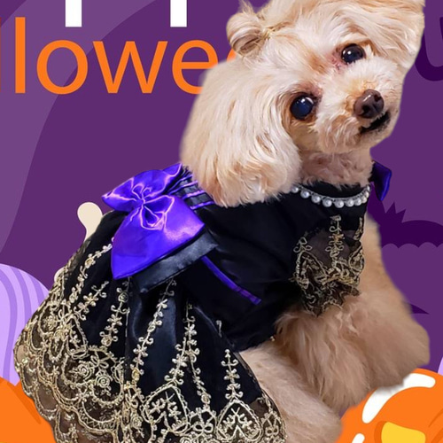 犬服/猫服 ハロウィンワンピース ブラック&Goldスカラップレース