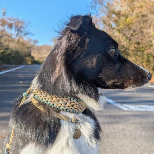 パラコード首輪 ハーフチョーク 秋カラー オリーブ＆ブラウン コンチョ