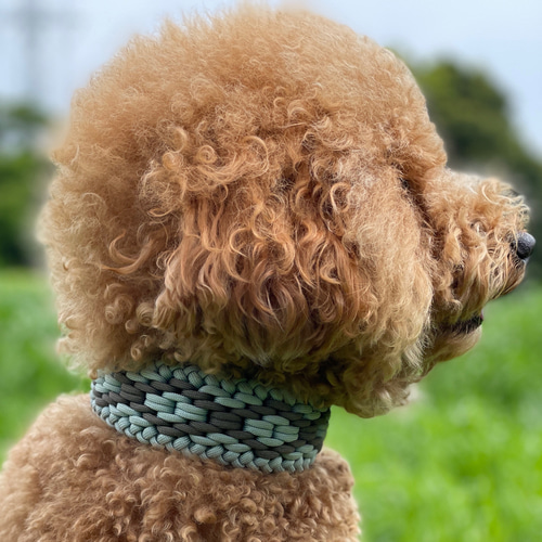 ハーフチョーク ダイヤモンド】パラコード 首輪 チョーカー 幅広 犬