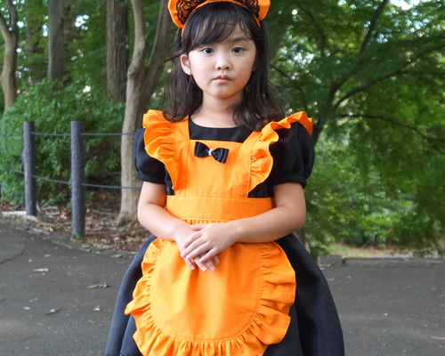 64c47ce986676e733859d98d02fd85