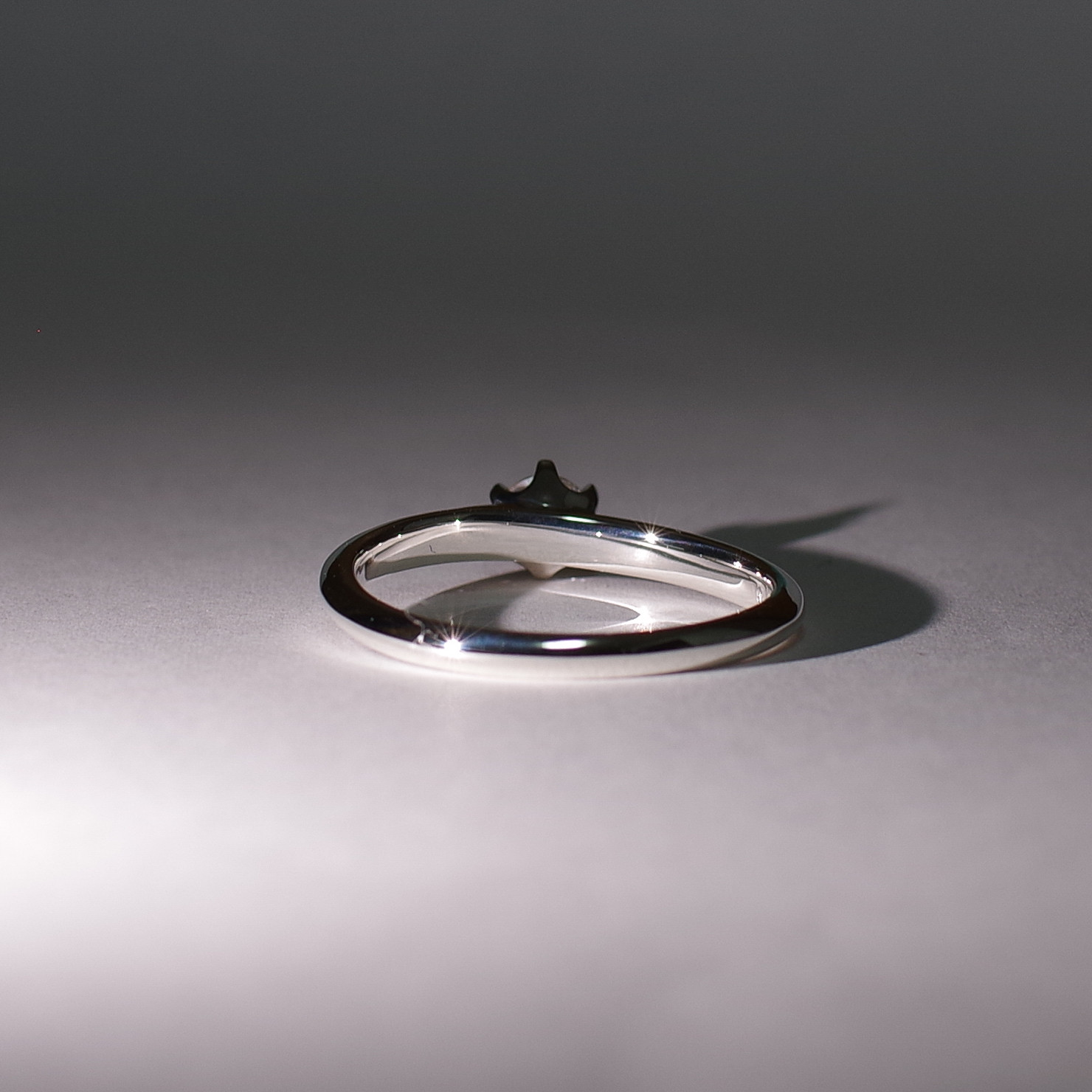 【選べるプロポーズリング】fian 01