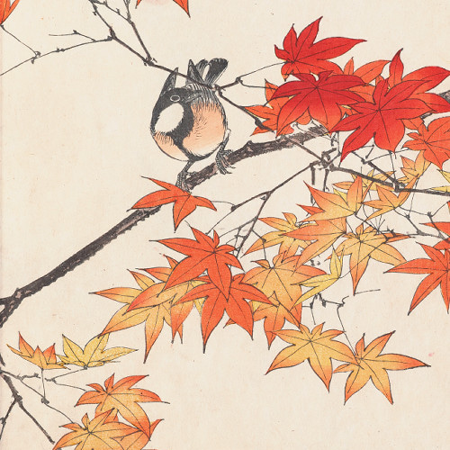 日本画紅葉中サイズ…