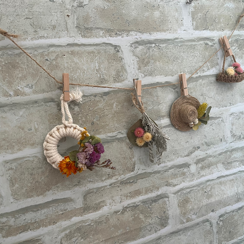 ドライフラワー ガーランド No.2 ガーランド colorful lemon 通販  