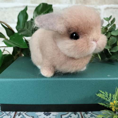羊毛フェルト うさぎ ホーランドロップ C_custom ハンドメイド 羊毛フェルトうさぎ ホーランドロップ(ブルー) ハンドメイド - メルカリ
