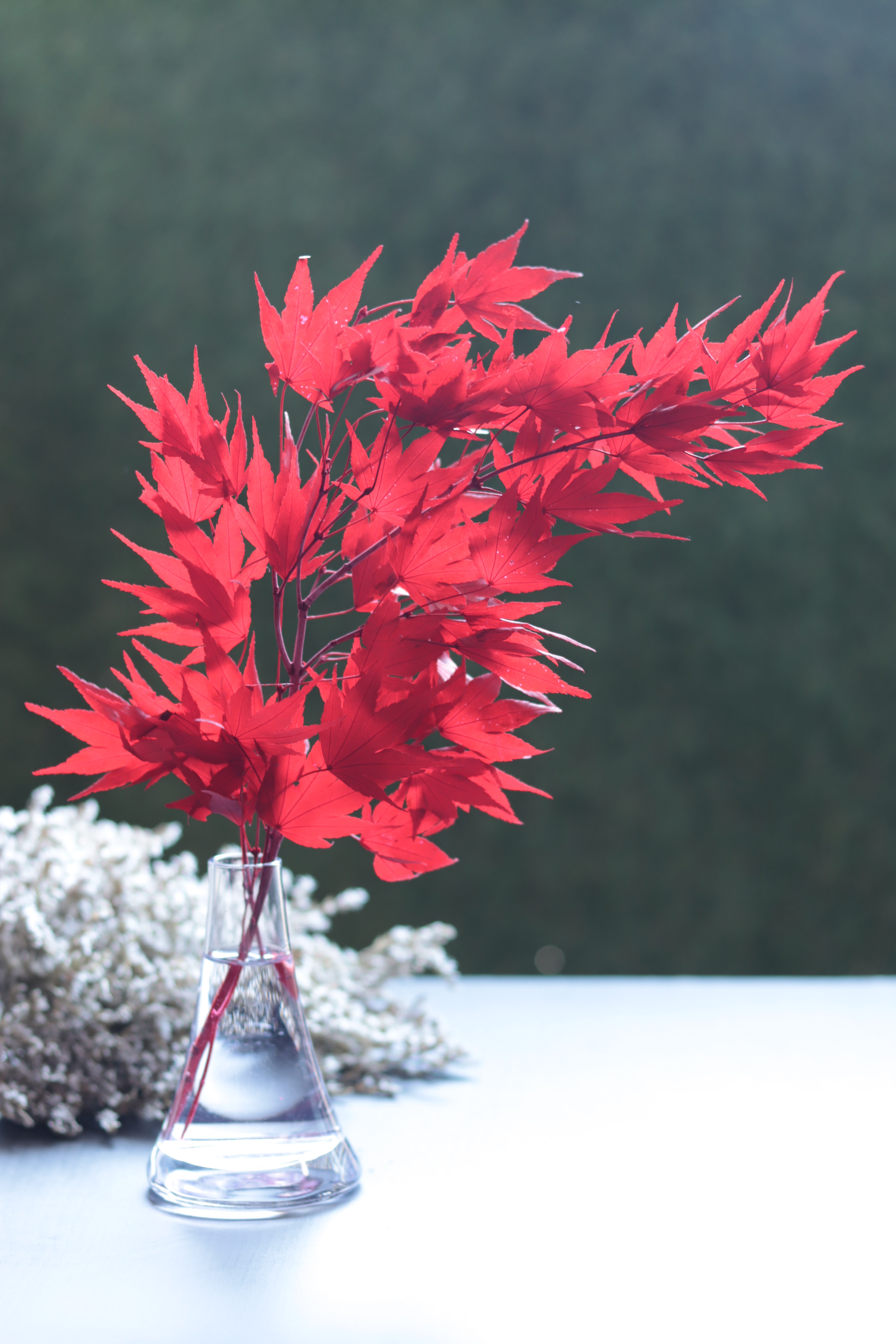 【水替え不要】秋の訪れ～紅葉狩り～富士ガラスポット＊プリザーブドフラワー＊敬老の日・母の日・誕生日・還暦開業・誕生日