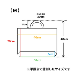 Mサイズ ☆ 撥水ナイロン ☆ シンプル ☆ 軽い ☆ カッコいい ☆ レッスンバッグ　入園入学2024 2枚目の画像