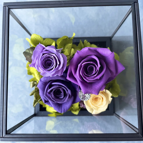 ガラスケースパープルローズアレンジ プリザーブドフラワー seed