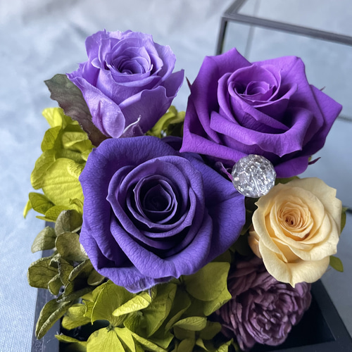 ガラスケースパープルローズアレンジ プリザーブドフラワー seed