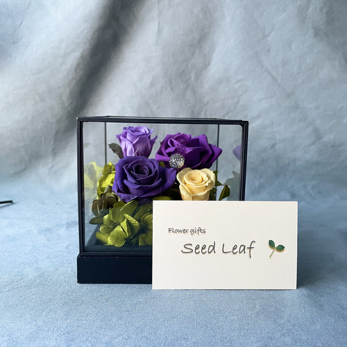 ガラスケースパープルローズアレンジ プリザーブドフラワー seed