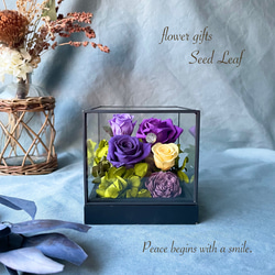 fde1c5d9f4902fcfbd03631fdb326c