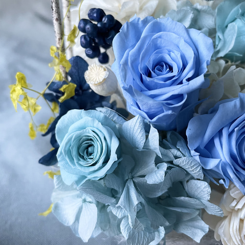 ブルーローズの鳥かごアレンジ プリザーブドフラワー seed leaf53 通販