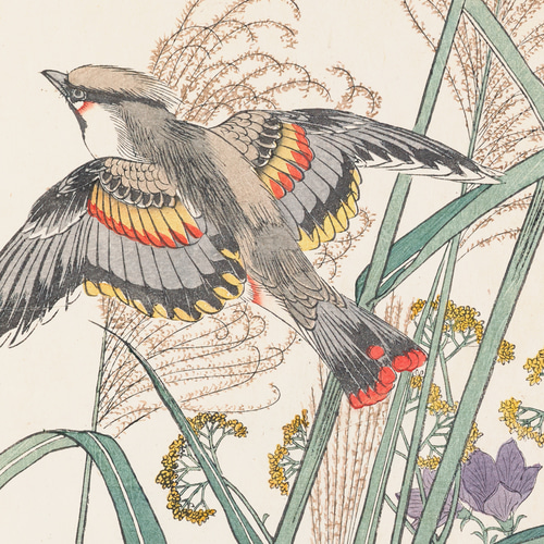 秋に ススキと野鳥の日本画アートポスター☆浮世絵和モダン大正