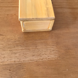 食卓に置ける箸箱(二羽のカチガラス、マクワウリの見張り番）　カトラリーケース　メガネ入れ　小物入れ　蓋付き木製　少人数用 10枚目の画像