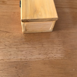 食卓に置ける箸箱(二羽のカチガラス、マクワウリの見張り番）　カトラリーケース　メガネ入れ　小物入れ　蓋付き木製　少人数用 11枚目の画像