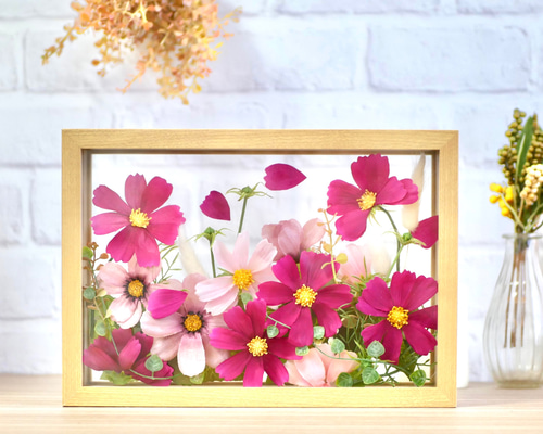 e8e4c2f30a2421342b7108b325648b