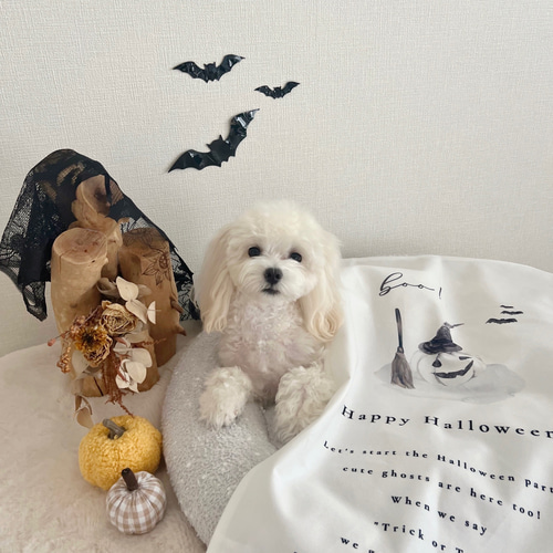 T029 【 Happy Halloween tapestry Type-B 】送料無料 タペストリー 