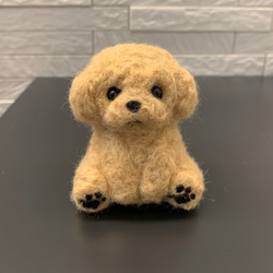 1ae2aaf948ddac1f86bffe2359d5bf