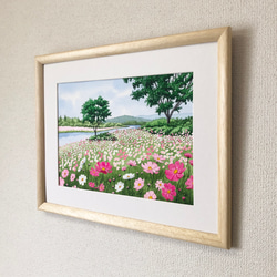 「コスモスの咲く川辺」透明水彩画　原画　風景画　額縁付　F4サイズ 3枚目の画像