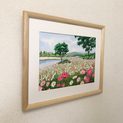 「コスモスの咲く川辺」透明水彩画　原画　風景画　額縁付　F4サイズ 2枚目の画像