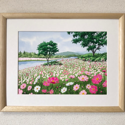 「コスモスの咲く川辺」透明水彩画　原画　風景画　額縁付　F4サイズ 1枚目の画像
