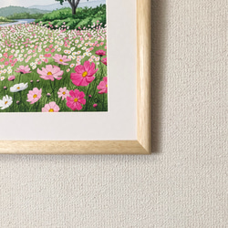 「コスモスの咲く川辺」透明水彩画　原画　風景画　額縁付　F4サイズ 4枚目の画像