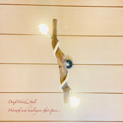 流木インテリア 太く節のある古木風の天然流木のシーリングライト ペンダントライト LED ランプ 照明器具 北欧 11枚目の画像