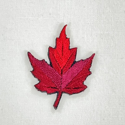 楓 カエデ メープル 落ち葉 紅葉 ワンポイント　刺繍　ワッペン　アップリケ　シール可 1枚目の画像