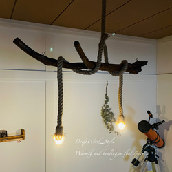 流木インテリア Y字を描くコブつきの天然流木のシーリングライト ペンダントライト LED ランプ 照明器具 北欧 5枚目の画像