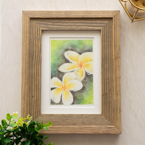 【1点もの】プルメリアの額縁付絵画 1点もの】プルメリアの額縁付絵画