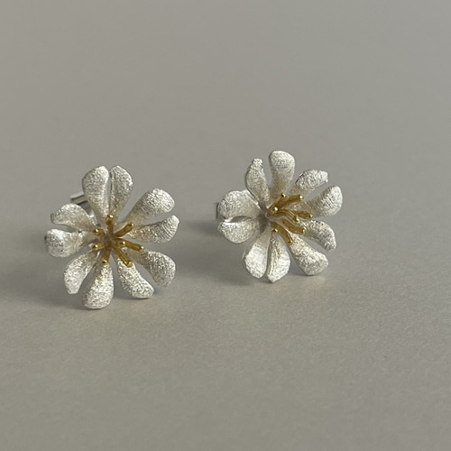 セラスチウム／夏雪草ナツユキソウ✴︎ハート花びらピアス