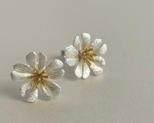 セラスチウム／夏雪草ナツユキソウ✴︎ハート花びらピアス