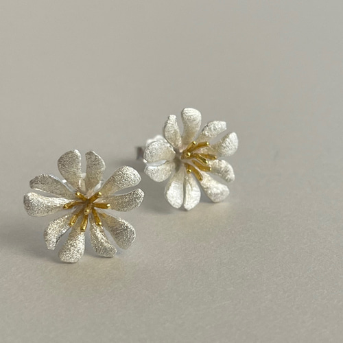 セラスチウム／夏雪草ナツユキソウ✴︎ハート花びらピアス