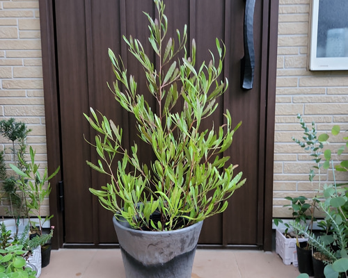 9d23ea1c6a6727931c06b875eec2a1