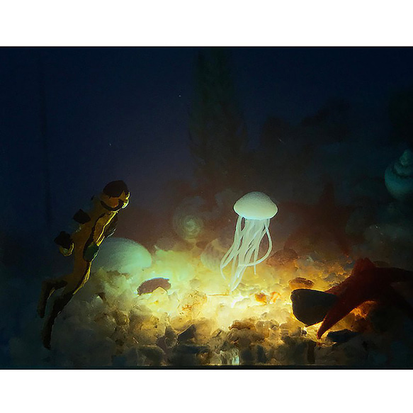 环氧树脂工艺品/迷你海洋景观/海底世界滴胶海洋摆件小夜灯 第6張的照片