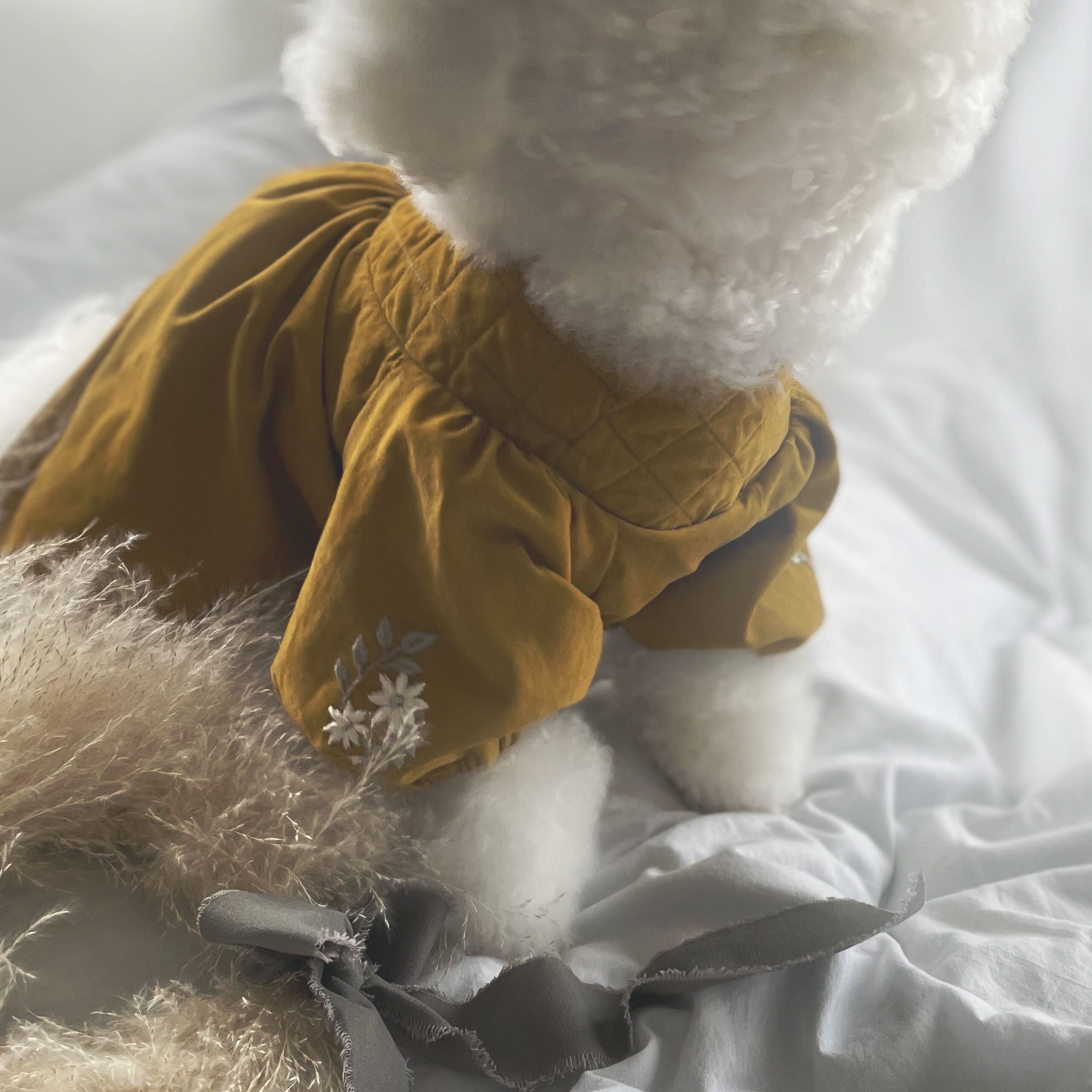 キャンディ袖のくまさんスモックワンピ/犬服/犬服ハンドメイド