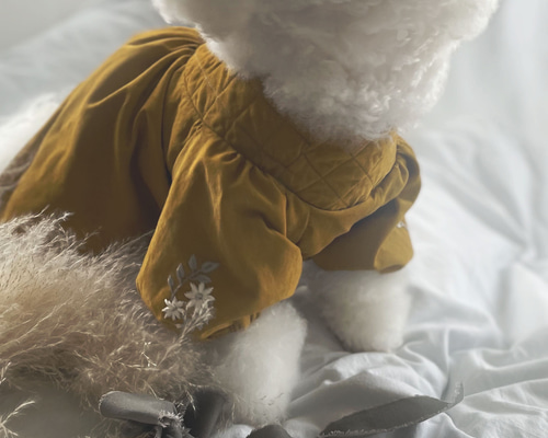 1c1c5d750b4a63c80c693a703aa98b