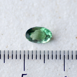 グリーン・アパタイト＊オーバル・カット＊0.70ct＊6.5×4.7mm＊AP-009 6枚目の画像