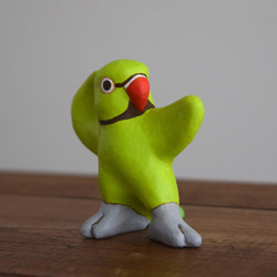 [訂做] 跳舞鸚鵡 第2張的照片