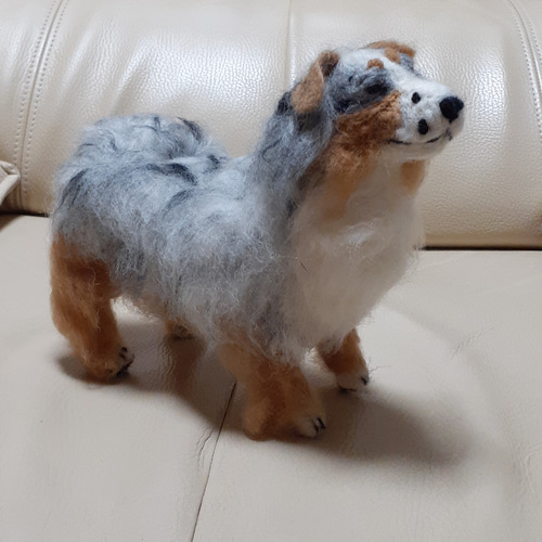 羊毛オーストラリアン シェパード 羊毛フェルト Kingこうた 通販