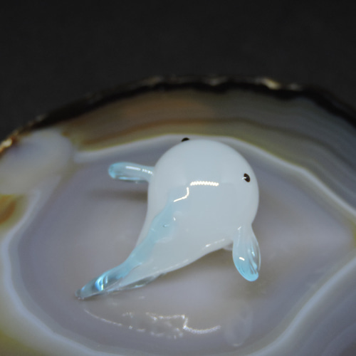 ガラスの造形・ちっこいシンカイクサウオ 4匹目 その他置物 硝子細工