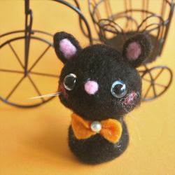オッドアイのくりくり目玉の黒猫のマスコット 13枚目の画像