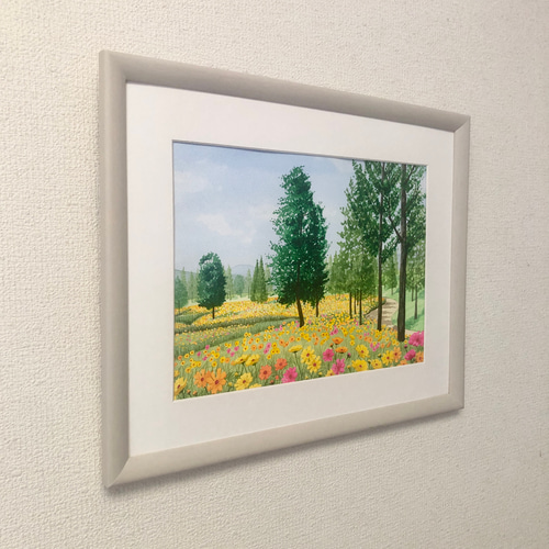 黄花コスモスの咲くフィールド」透明水彩画 原画 風景画 額縁付 F4